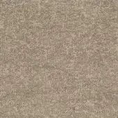 Heathered fabric texture in beige, taupe, and gray tones with a dense, irregular weave; identified as “bross > fabric (c) fabthirty plus > col. 33”.
